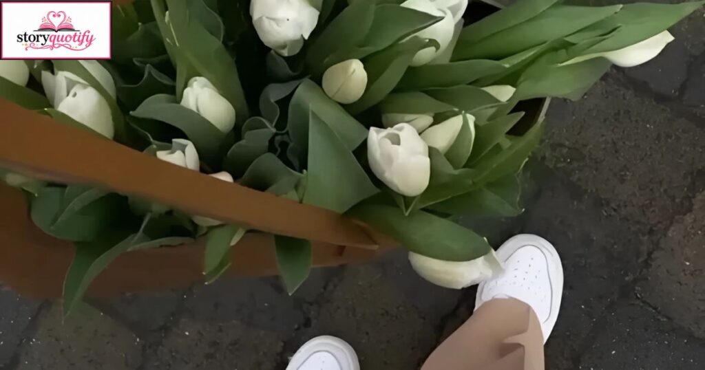best-tulip-captions-for-instagram
