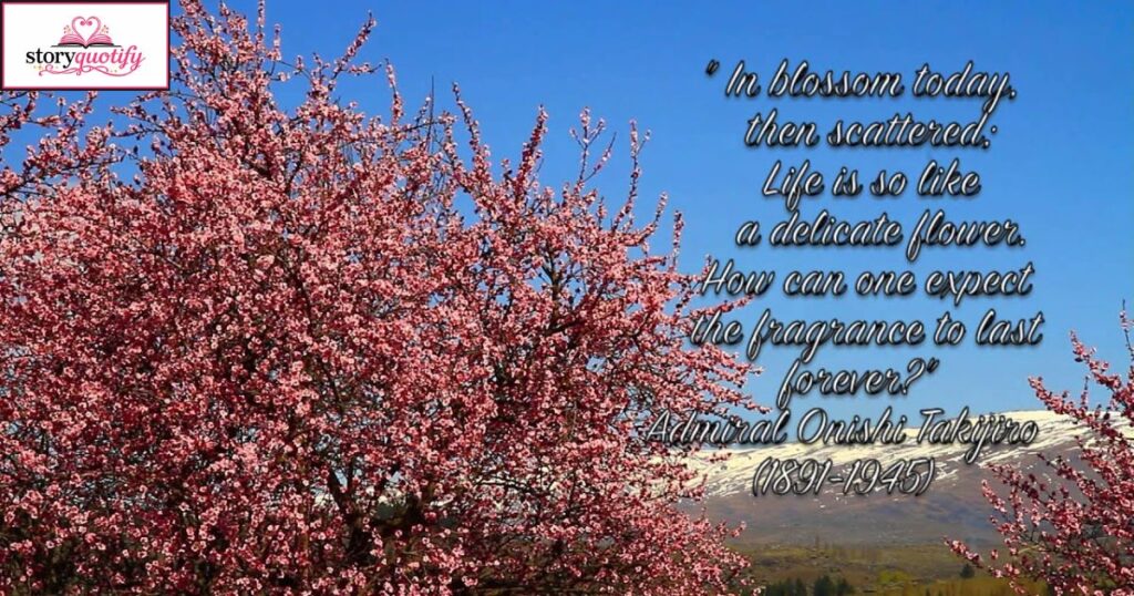 cherry-blossom-quotes