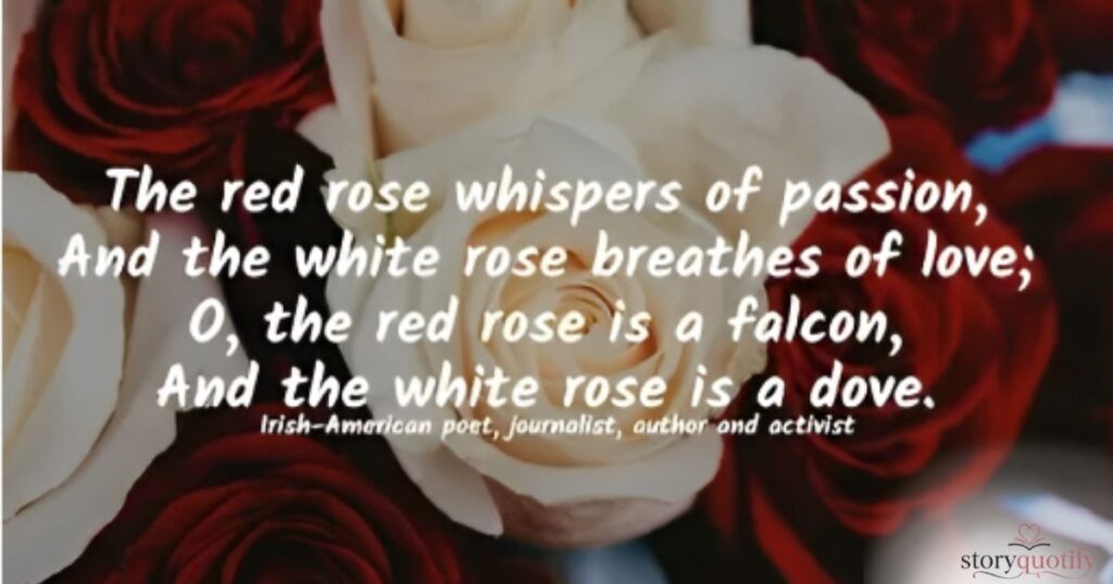 elegant-rose