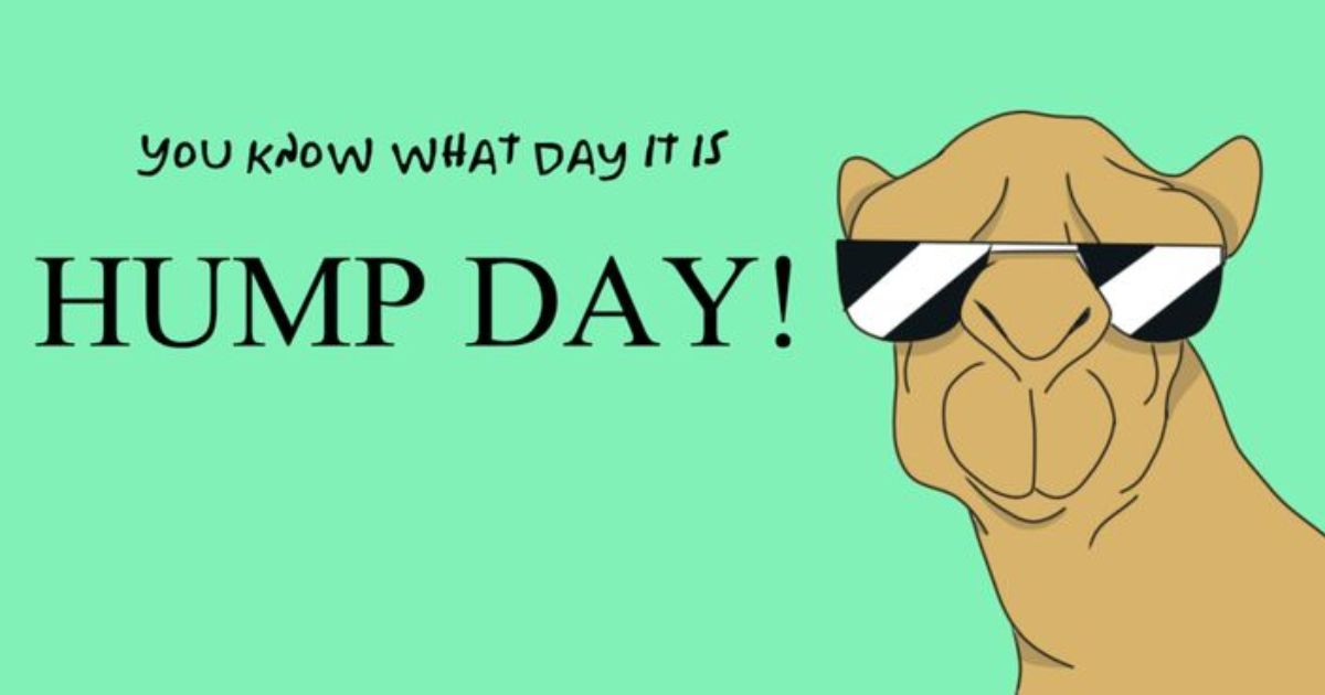 hump-day-quotes