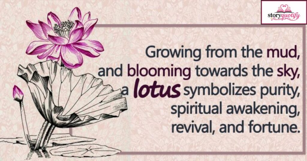 lotus-flower