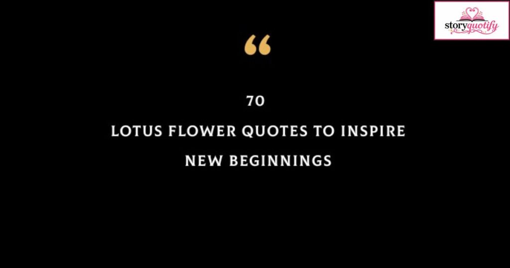 lotus-flower
