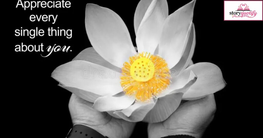 lotus-flower