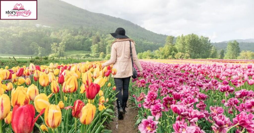 nature-tulip-captions