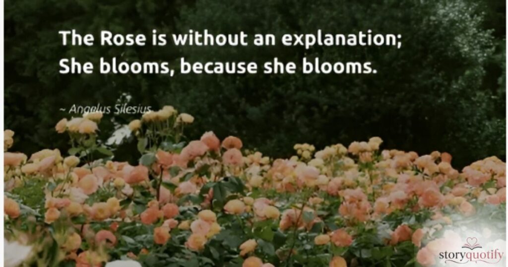 rose-quotes