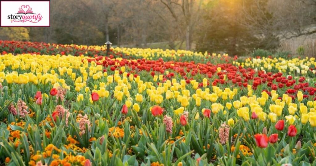 seasonal-tulip-captions
