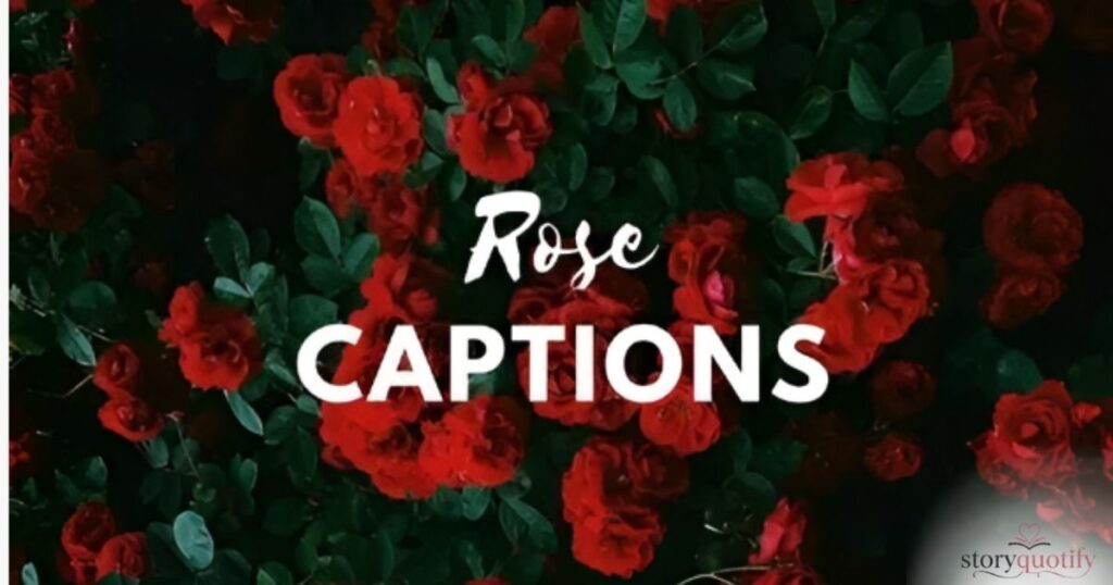 short-rose-quotes