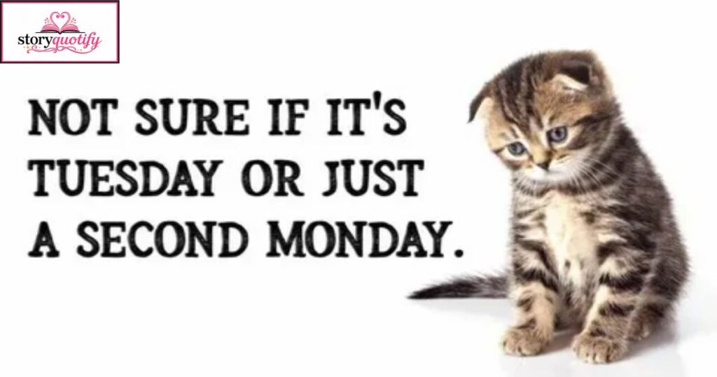 tuesday-quotes