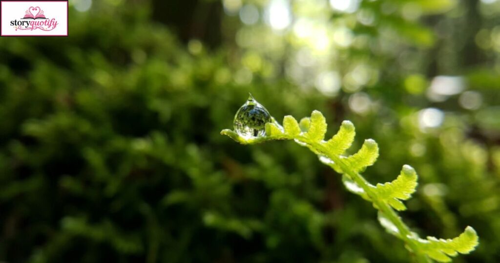 nature-quotes
